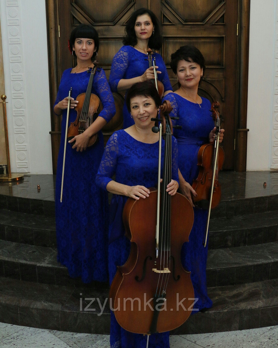 Музыкальное струнное шоу в Павлодаре