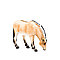Mojo Лошади фиордской породы, фото 2