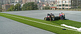 Искусственный газон, ворс 40мм, производитель Пекин, фото 3