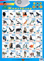 названия животных на английском. домашние животные на башкирском. животные перевод на татарский. дидактическая игра лото. животные на башкирском языке.