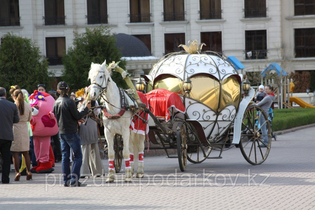 Карета Лошадь Пони Верблюд Лама Сани Фаэтон в Алматы - фото 10 - id-p42541030