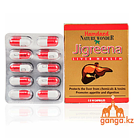Джигрина - Комплексная защита печени (Jigreena HAMDARD), 60 кап.