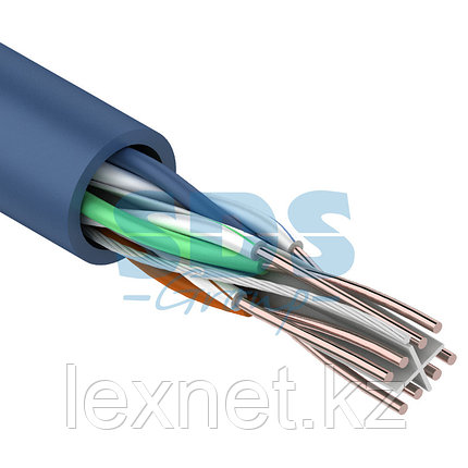 Кабель UTP  4PR  23AWG  CAT6   305м   REXANT, фото 2