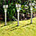 Садово - парковый светильник на солнечных батареях, фото 4