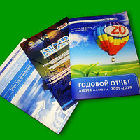 Годовой отчет (Переодический каталог)