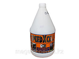 SPEEDXCELL - 3.75 Litre