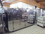 Tauro Essicсatori B.MASTER 230V / 3500W промышленная сушилка для фруктов, овощей, грибов, макаронных продуктов, фото 3