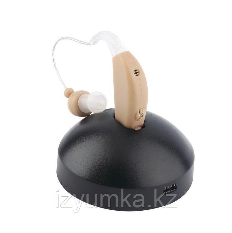 Заушный слуховой аппарат (аккумулятор) - фото 6 - id-p44403884