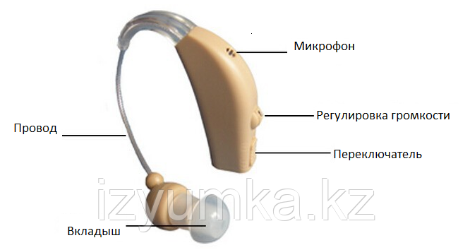 Усилитель звука на аккумуляторе с зарядным устройством - фото 1 - id-p44315612