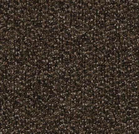 Forbo Coral Classic - Espresso, фото 2