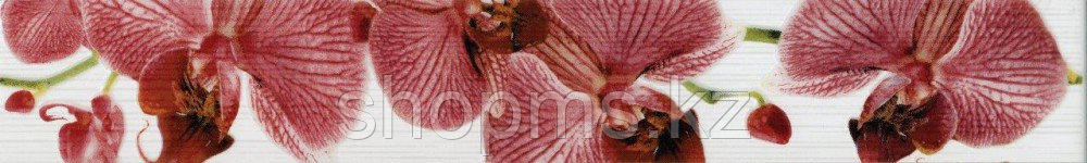 Керамическая плитка PiezaROSA Фиори бордюр орхидея 267081 (40*6)