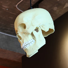 Люстра Voodoo lamp hanging, фото 5