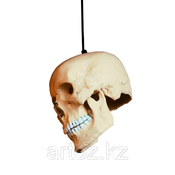 Люстра Voodoo lamp hanging