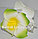 Заколка краб "Гавайский цветок" (зеленая), фото 2
