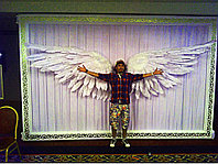 Аренда пресс стены