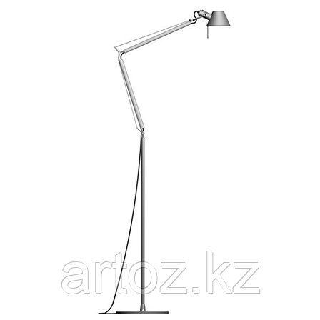 Напольная лампа Tolomeo floor L, фото 1