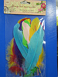 Декор для творчества "Перья цветные", 15-20 см , 10 шт. Алматы, фото 2