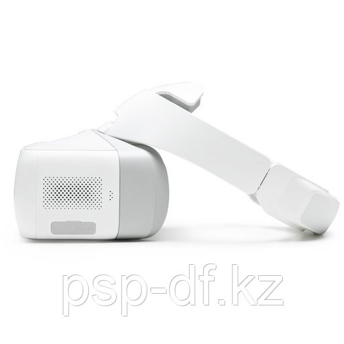FPV очки DJI Goggles