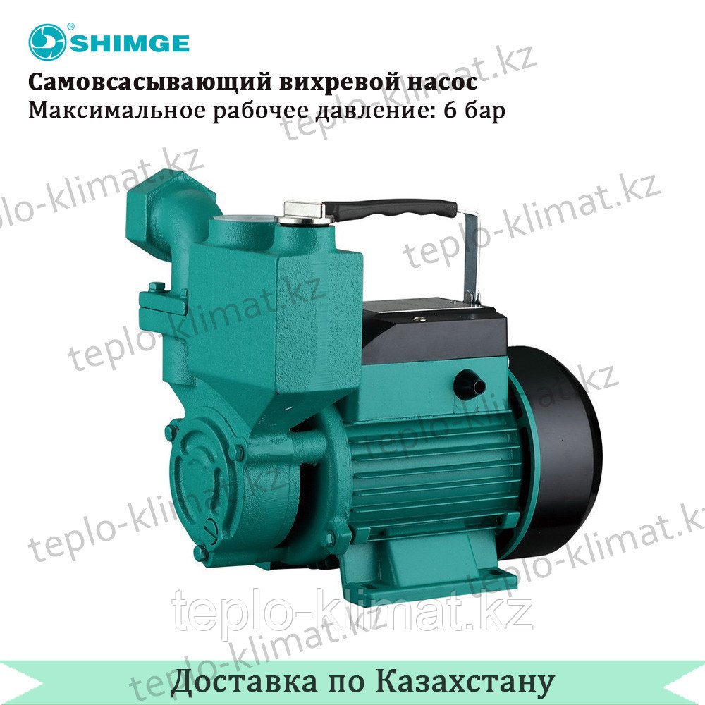 Самовсасывающий вихревой насос Shimge 1WZB-65A