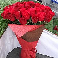 Доставка цветов  (розы голландия)