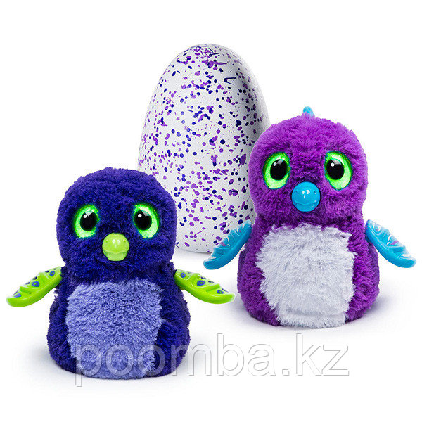 Интерактивная игрушка Hatchimals - Дракоша, синий / фиолетовый