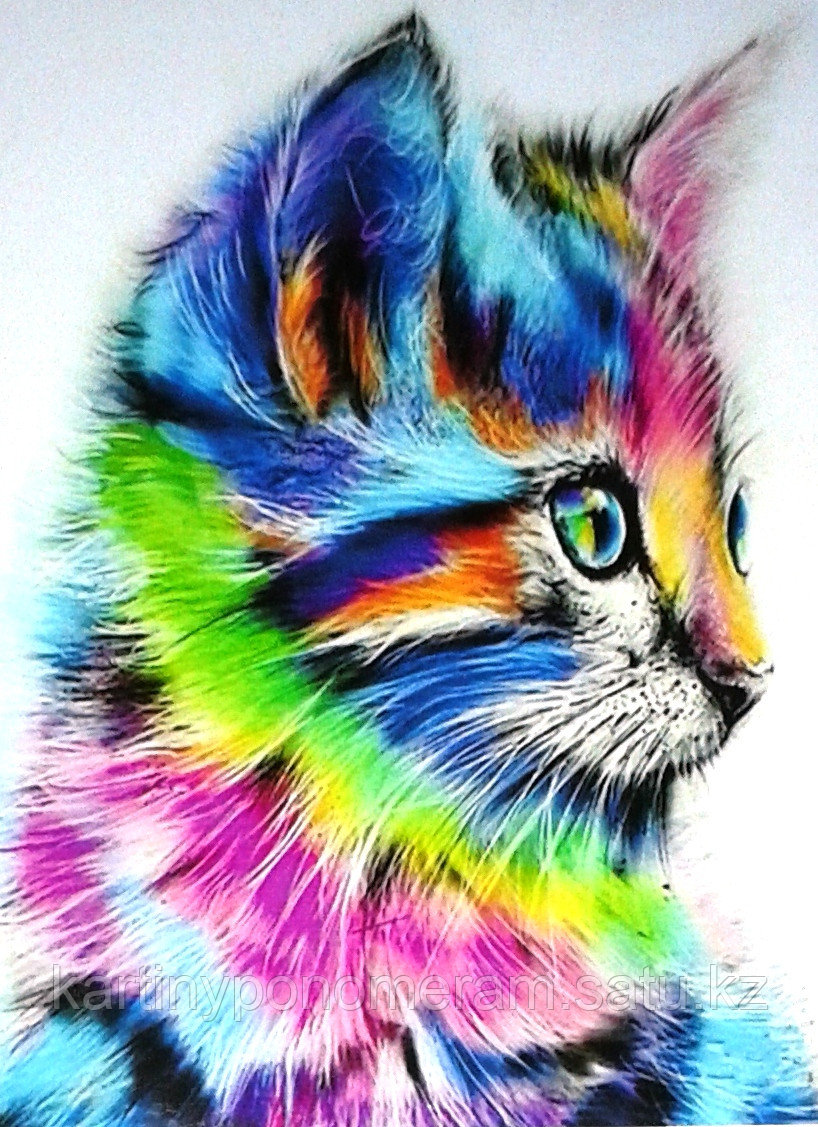 Картины по номерам, "Котенок. Абстракция. 30х40"