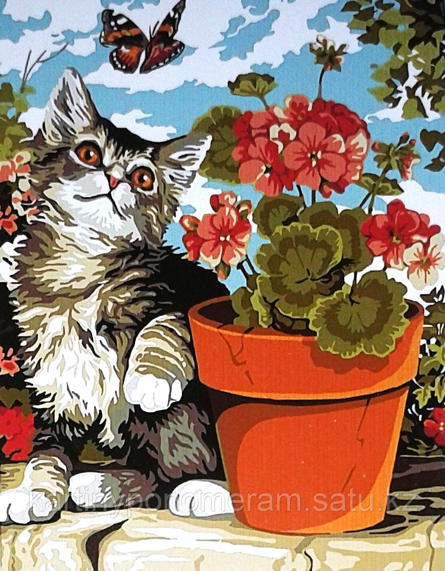Картины по номерам, "Котенок и герань 30х40"