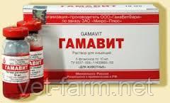 ГАМАВИТ 10мл