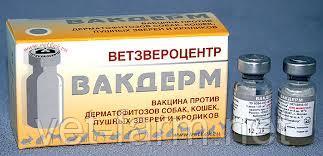 ВАКДЕРМ