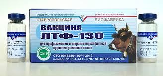 Вакцина ЛТФ-130 для профилактики и терапии трихофитоза крупного рогатого скота, 1 фл. (20 доз)