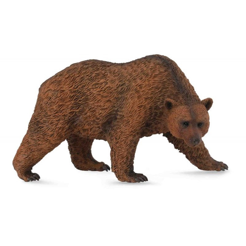 Collecta Фигурка Бурый медведь, 11.5 см