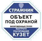 Табличка-пиктограмма "ОБЪЕКТ ПОД ОХРАНОЙ" 100х100 мм.