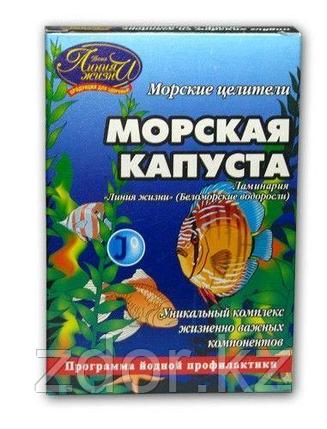Морская капуста (Ламинария) 100гр., фото 2