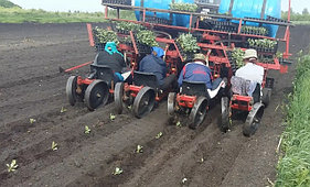 Рассадочные машины