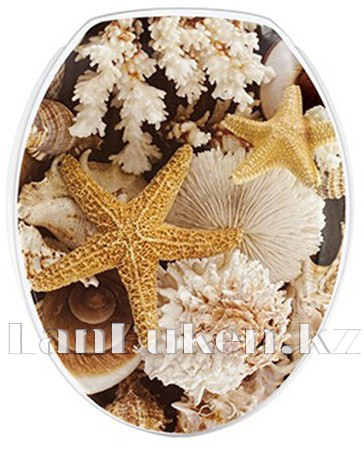 Сидение с крышкой для унитаза и крепленьями Морская звезда 1025