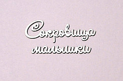 Чипборд "Сокровища малышки"