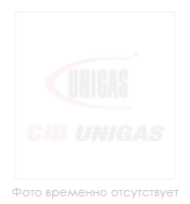 Одноступенчатый газовый клапан DUNGS   - MBC 65 DLE S20