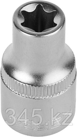 Головка торцовая ЗУБР "МАСТЕР" (1/2"), Cr-V, E-TORX, хроматированное покрытие, E12 , фото 2