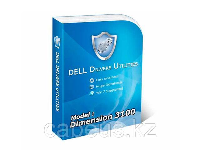 Лицензия Dell 529-10004