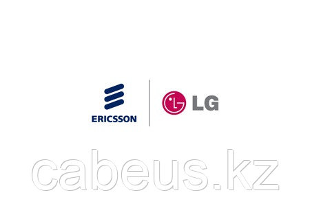 Ключ активации ERICSSON-LG eMG80-Fidelio - фото 1 - id-p45660987