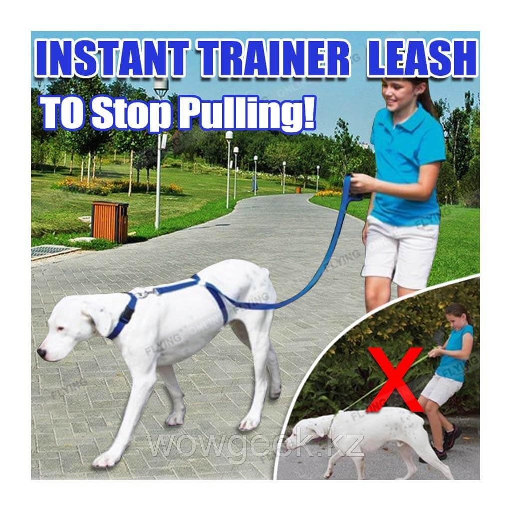 Поводок Для Собак The Instant Trainer Leash