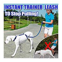 Поводок Для Собак The Instant Trainer Leash