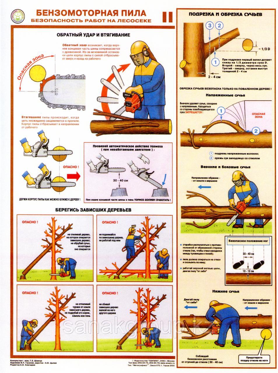 Плакат "Техника безопасности при работе с древесиной"
