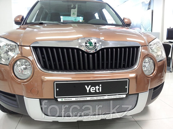 Защита радиатора Skoda Yeti 2009-2013 chrome, фото 2