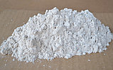 Белый пигмент для бетона, фото 2
