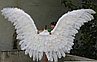 Крылья Лебедя, фото 2