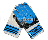 Перчатки вратарские футбольные Puma (синие)