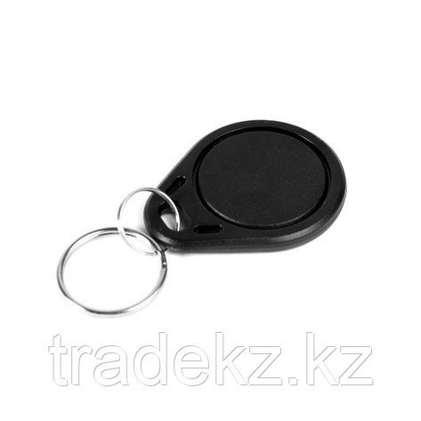 Брелок EM-Marine RFID KR41N-B1 чёрный, фото 2