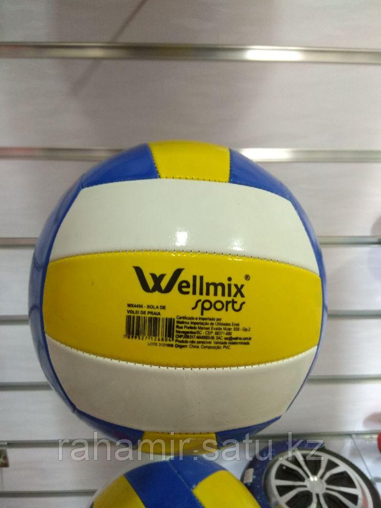 Волейбольный мяч Wellmix