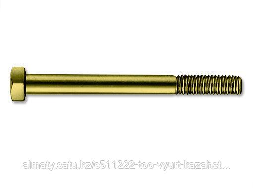Болт M6X30 DIN931-8.8-WS10-(A2C)